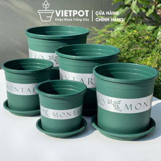 Chậu nhựa trồng cây VIETPOT, màu xanh Montario, trồng kiểng lá, hoa hồng, để bàn, sân vườn.