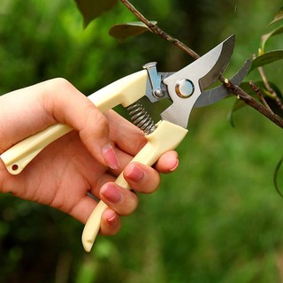 Kéo cắt tỉa cành làm vườn bằng thép không gỉ siêu sắc