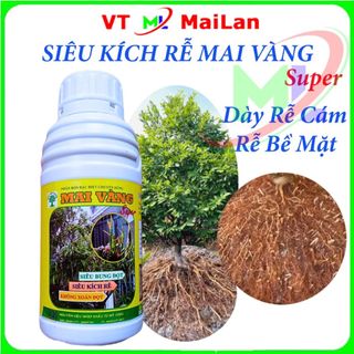 Siêu kích rễ cực mạnh bung đọt mai vàng bật chồi vọt đọt phục hồi cây suy yếu Halo