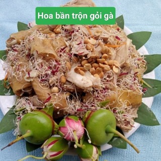 Hoa/lá bần, vỏ bần, cậc bần
