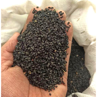 Gói 5gr hạt giống hành ta ( hành hương)