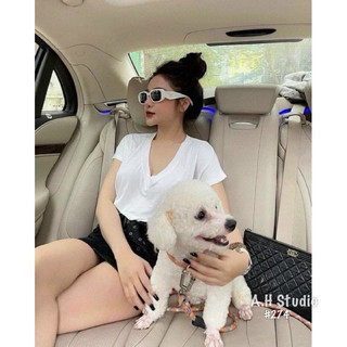 Áo thun cổ tim trơn - 274