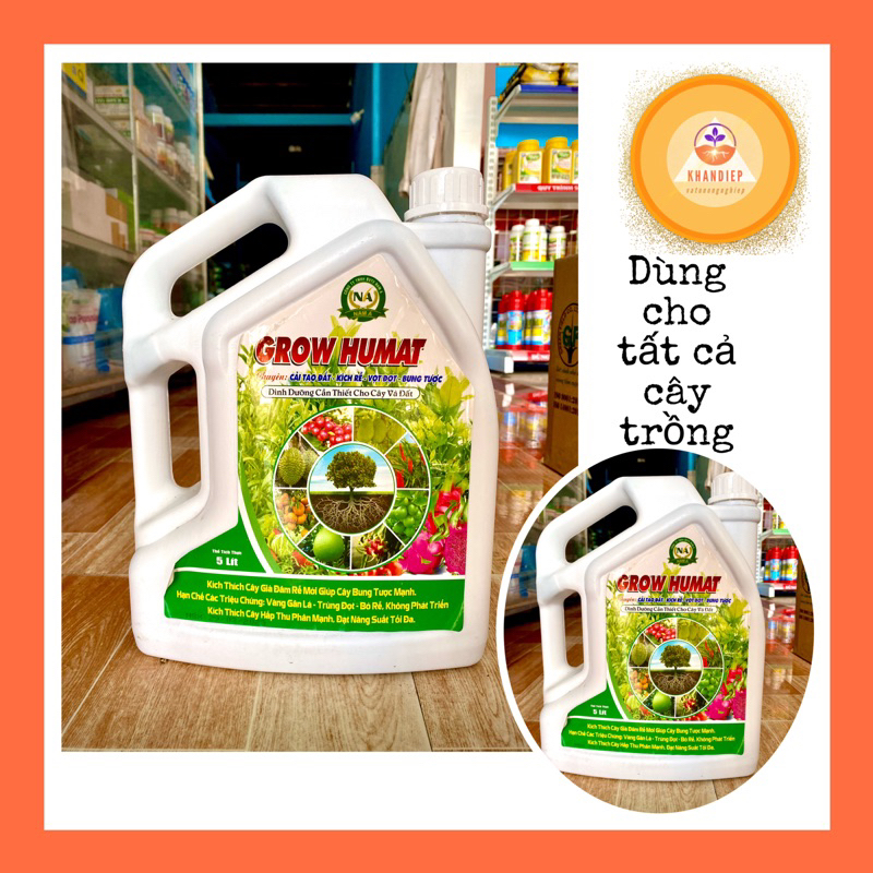 can tưới Humate 5 lít ra rễ to lá bật chồi mập cọng 5lít