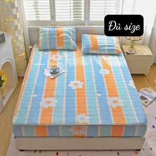 Chiếu điều hòa cao su non bo chun mẫu mới