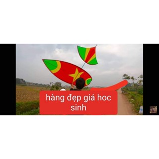 diều sáo giá rẻ official (tặng sáo đơn d 27)