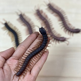 Đồ chơi mô hình con rết cao su dẻo