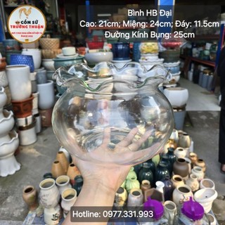 Bình Nuôi Cá Thủy Tinh ⚡️BAO BỂ VỠ⚡️Đủ Các Cỡ