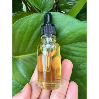 Dầu hạt Chùm ngây ép lạnh 20ml