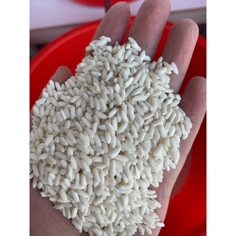 1kg nếp sáp ngỗng long an