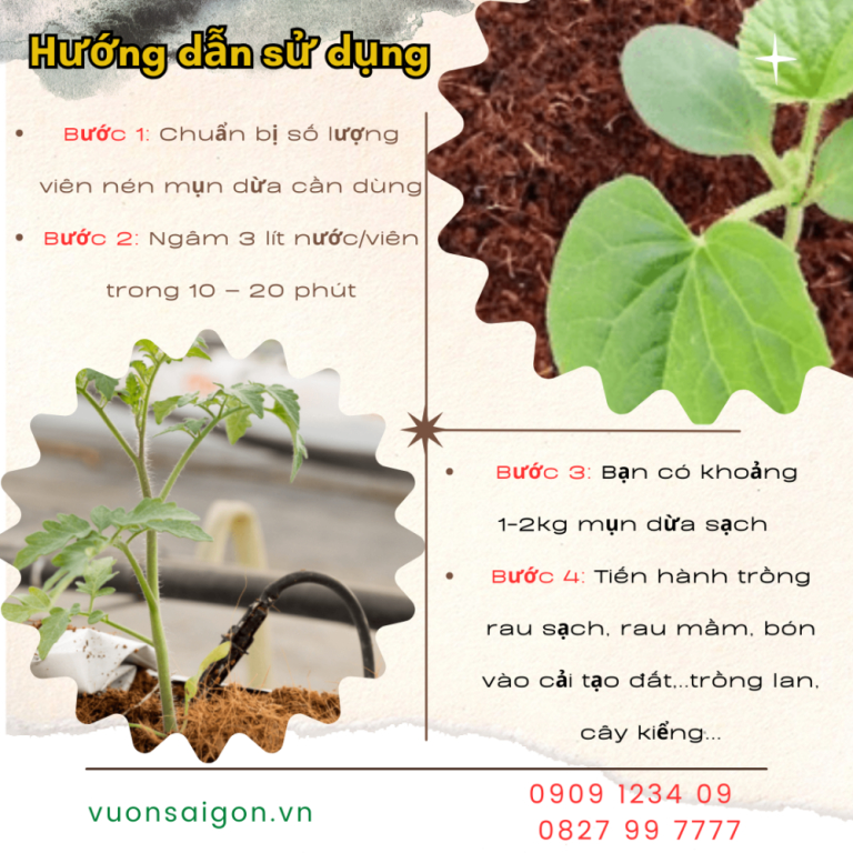 Bánh xơ dừa  Đường kính 14 cmxDày 5 cmxTrọng lượng 400 gram - Green City