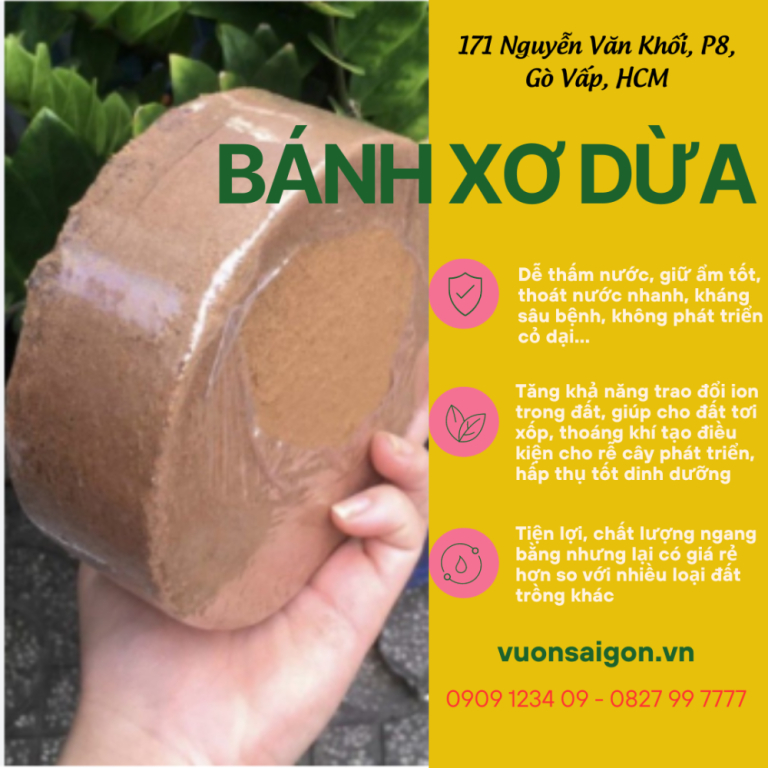 Bánh xơ dừa  Đường kính 14 cmxDày 5 cmxTrọng lượng 400 gram - Green City