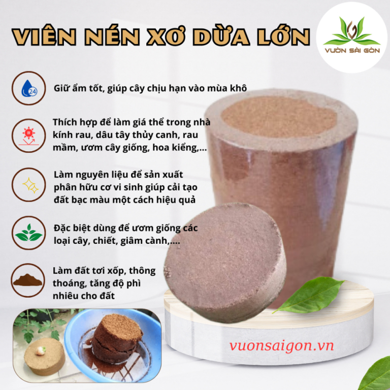 Bánh xơ dừa  Đường kính 14 cmxDày 5 cmxTrọng lượng 400 gram - Green City