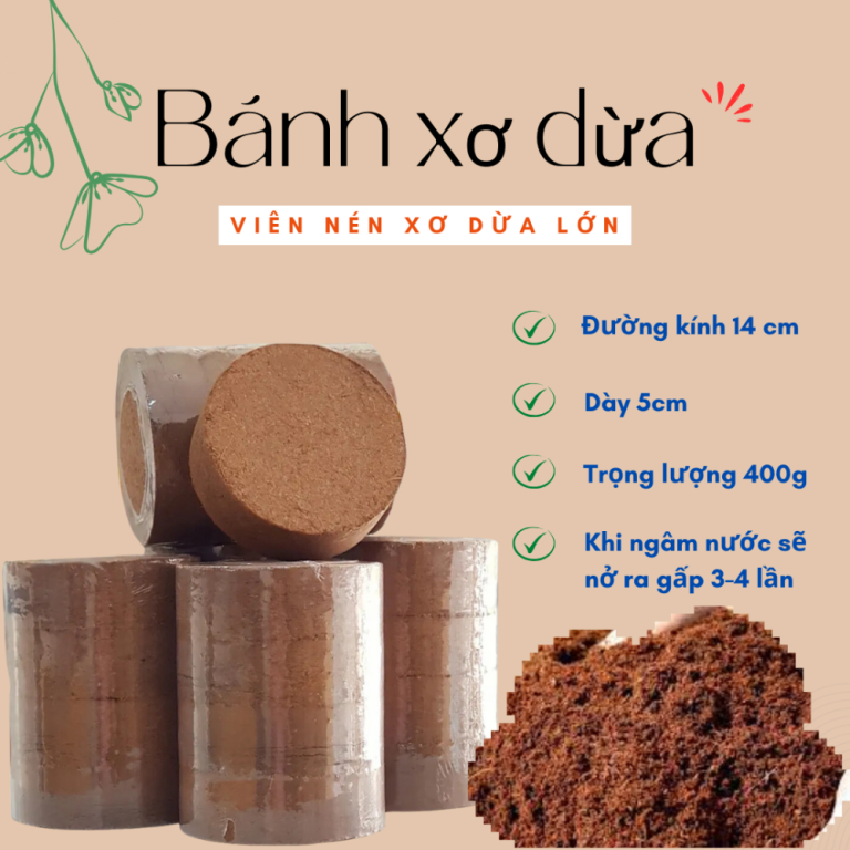 Bánh xơ dừa  Đường kính 14 cmxDày 5 cmxTrọng lượng 400 gram - Green City