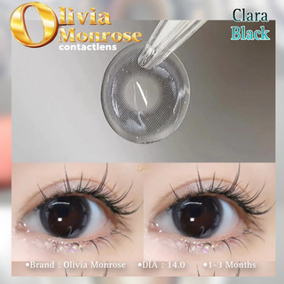 Clara Black Lens (  Có tặng khay đựng Lens )