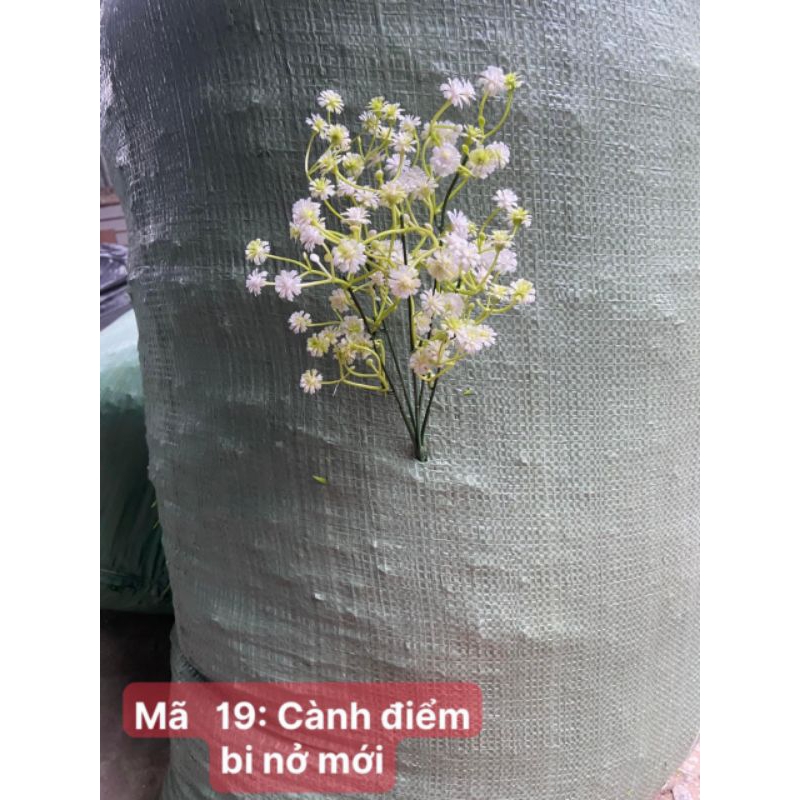 MÃ 19 CÀNH ĐIỂM BI NỞ DÙNG TRANG TRÍ
