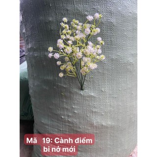 Mã 19 cành điểm bi nở dùng trang trí