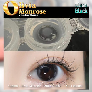 Clara Black Lens (  Có tặng khay đựng Lens )