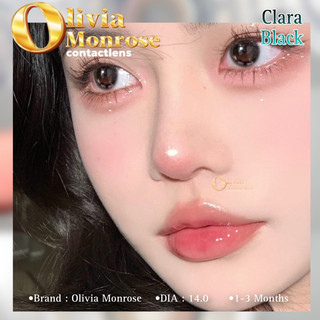 Clara Black Lens (  Có tặng khay đựng Lens )