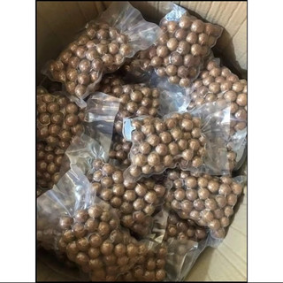 Mắc ca Macca nứt vỏ Đắk Nông