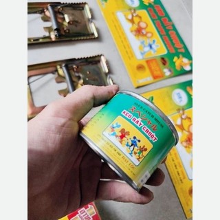 10 miếng keo dán chuột & dán ruồi
