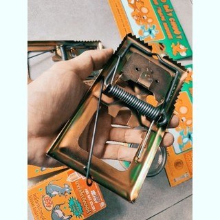 10 miếng keo dán chuột & dán ruồi
