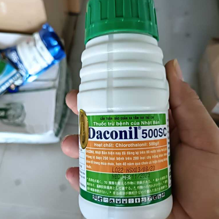 Daconil 500SC chai 240ml sản phẩm Nhật Bản chuyên quản lý Thán thư mốc sương phấn trắng khô vằn