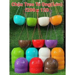 Chậu nhựa treo tổ ong lớn size 200mm x 120mm + kèm dây treo...