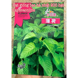 Hạt giống bạc hà Nhật gói 200 hạt nguyên gói Trung