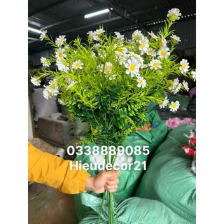 Cành điểm - cành điểm cúc mi trang trí hoa, decor siêu đẹp ạ