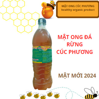 Mật ong rừng cúc phương - mật mới 2024