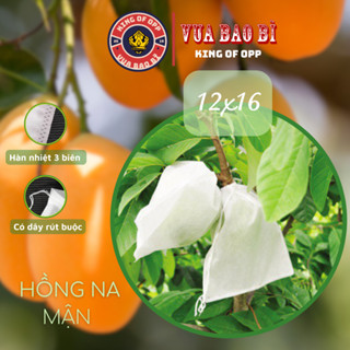 100 Túi 12x16cm Túi Bọc Trái Cây Ổi, Xoài, Na, Dưa To Có Dây Buộc - VUA BAO BÌ