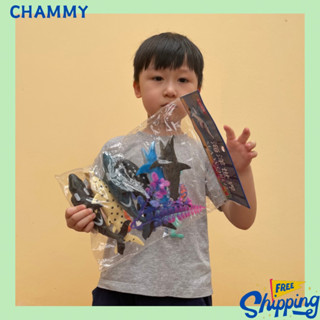 Túi đồ chơi cá mập, cá heo, cá voi sinh vật biển cho bé giúp các bé vừa chơi vừa học