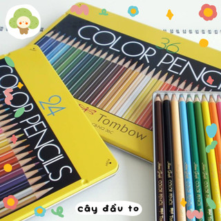 BỘ CHÌ MÀU TOMBOW 12-24-36 MÀU Cây Đầu To