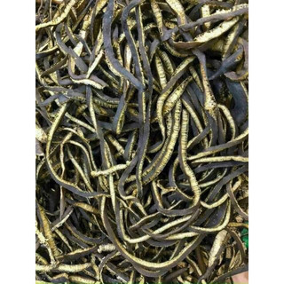 Tảo xoắn chile loại 1- thuần chay 200gr- xào sả ớt- bổ dưỡng.
