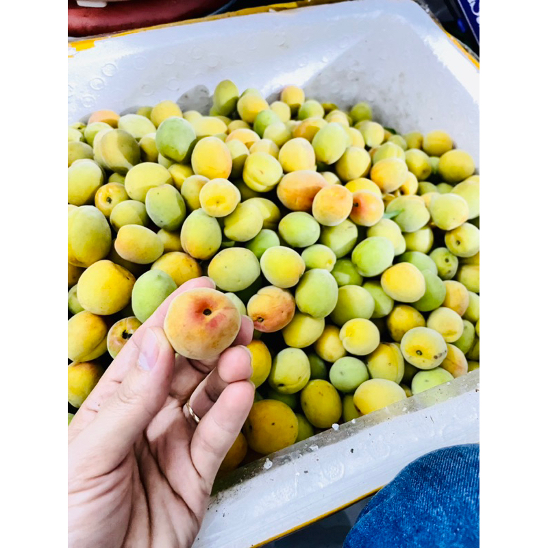2 kí mơ má đào( có ship hoả tốc HCM)