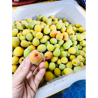 2 kí mơ má đào( có ship hoả tốc HCM)