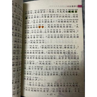 Hồng Lâu Mộng (có kèm pynpin)