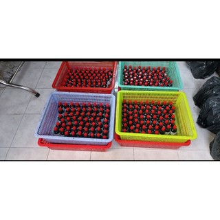 Dầu xoa bóp Bình An .