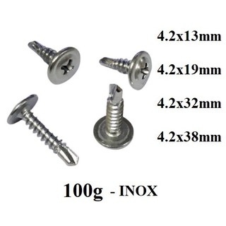 100g vít tự khoan đầu bằng đầu dù