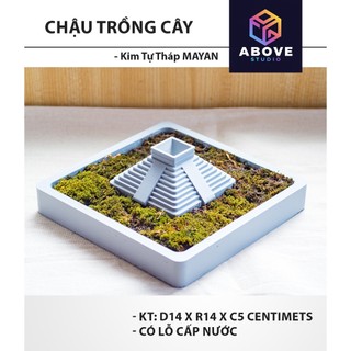 Chậu trồng rêu KIM TỰ THÁP MAYAN, trồng cây mini in 3D