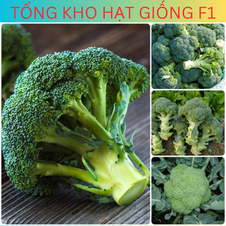 0.5gr Hạt giống súp lơ cao sản f1