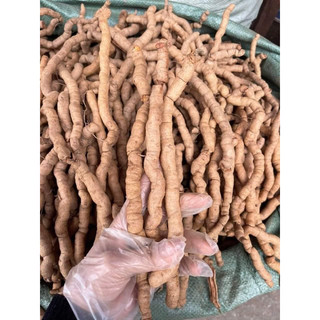 Ba kích tím Quảng Ninh (Nguyên củ) Hàng A1 (1kg)