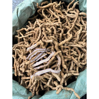 Ba kích tím Quảng Ninh (Nguyên củ) Hàng A1 (1kg)