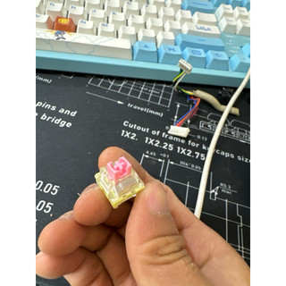 công tắc bàn phím switch TTC