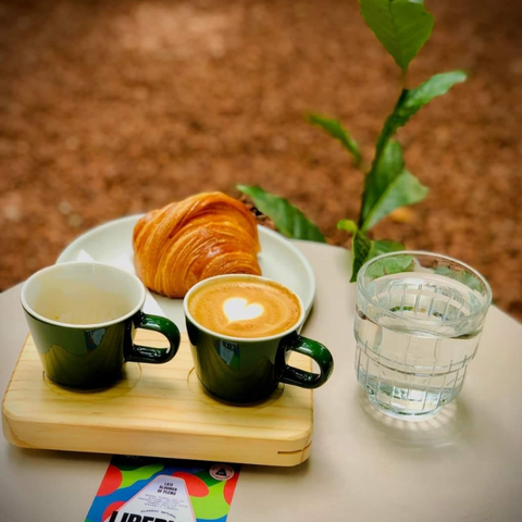 Ly sứ ACME Roman cup 110ml, 155ml, 170ml, 250ml & 270ml _ Đĩa sứ ACME Roman Saucers 12cm & 15cm
