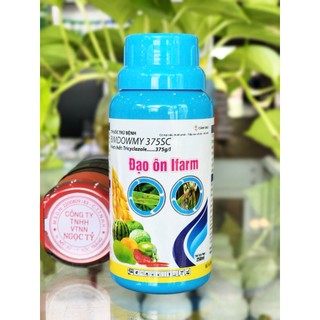 Đạo ôn 375sc của ifarm quản lý đạo ôn hiệu quả
