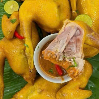 GÀ Ủ MUỐI ÔM TRỨNG