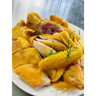 GÀ Ủ MUỐI ÔM TRỨNG