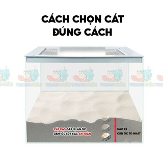 Cát trắng thủy sinh bịch 1000 gram ( 1kg )