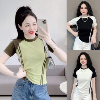 Áo thun nữ baby tee sọc bt11 form body màu phối basic đơn giản